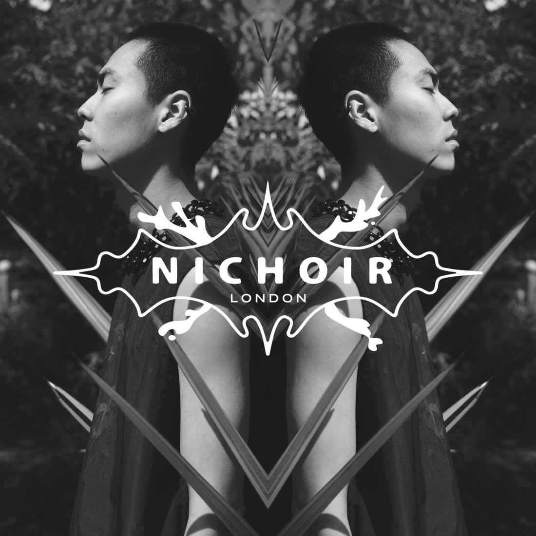 NICHOIR