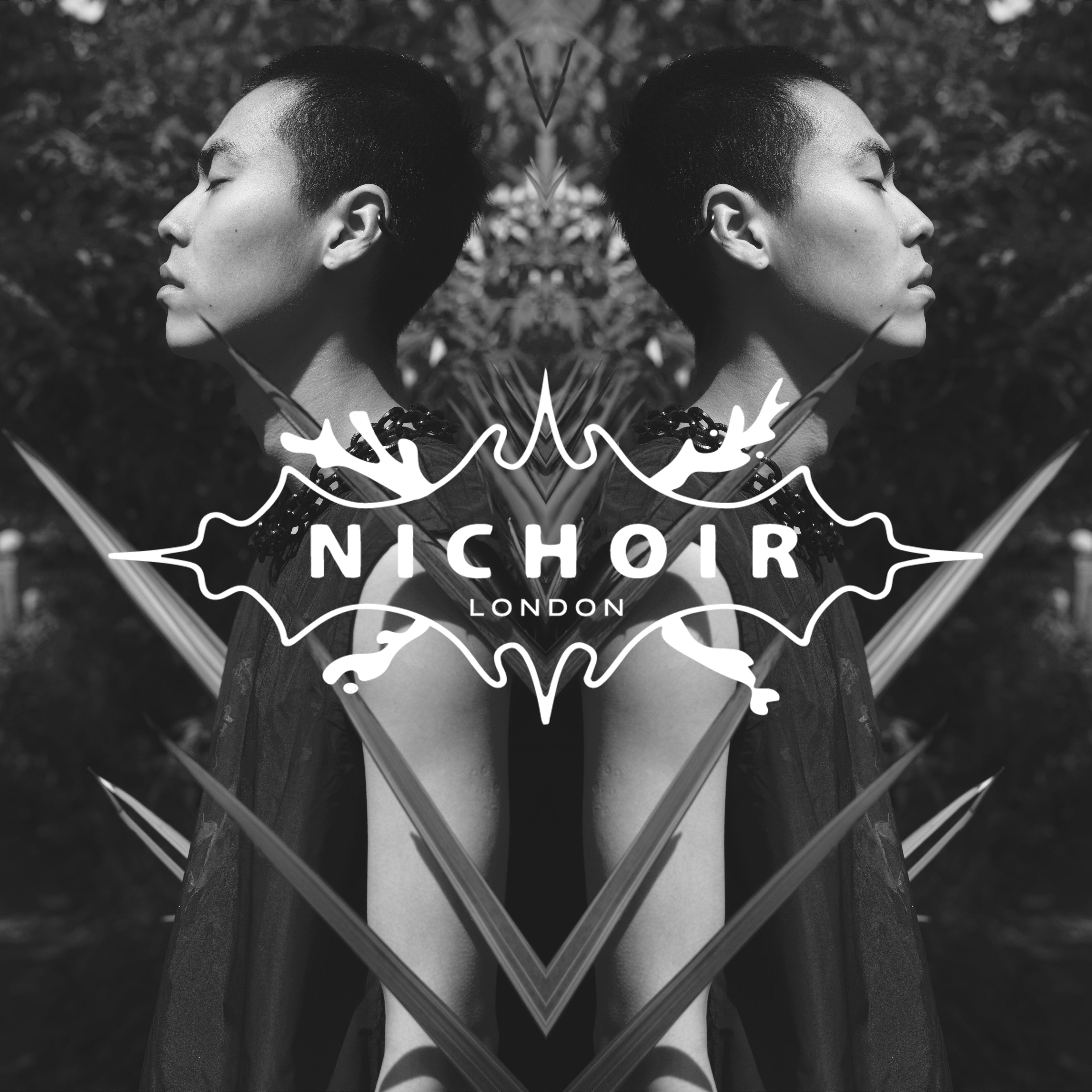 NICHOIR